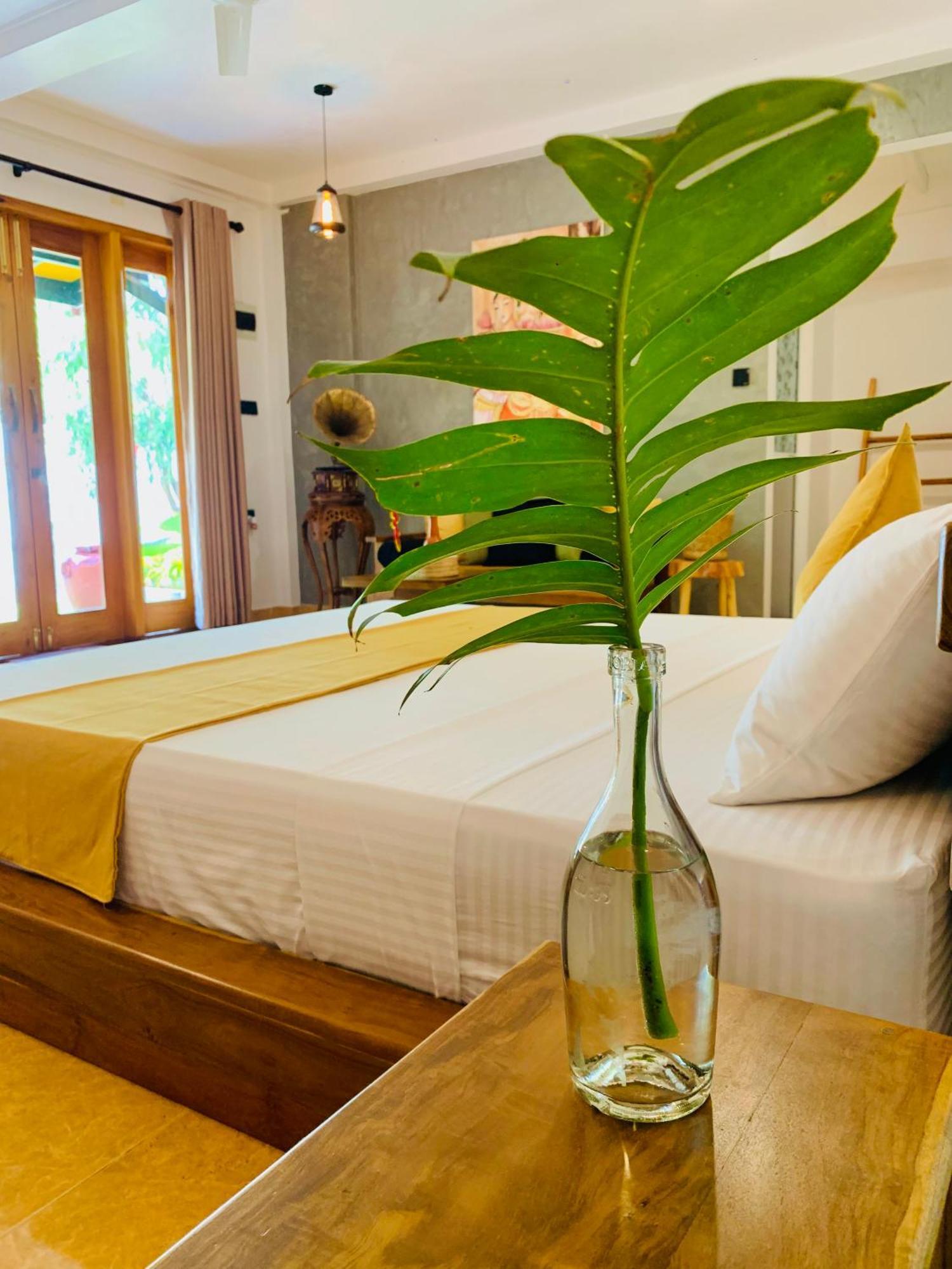 Breeze Bay Villa ดิคเวลลา ภายนอก รูปภาพ