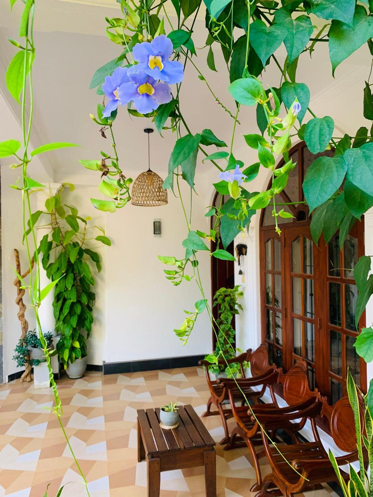 Breeze Bay Villa ดิคเวลลา ภายนอก รูปภาพ