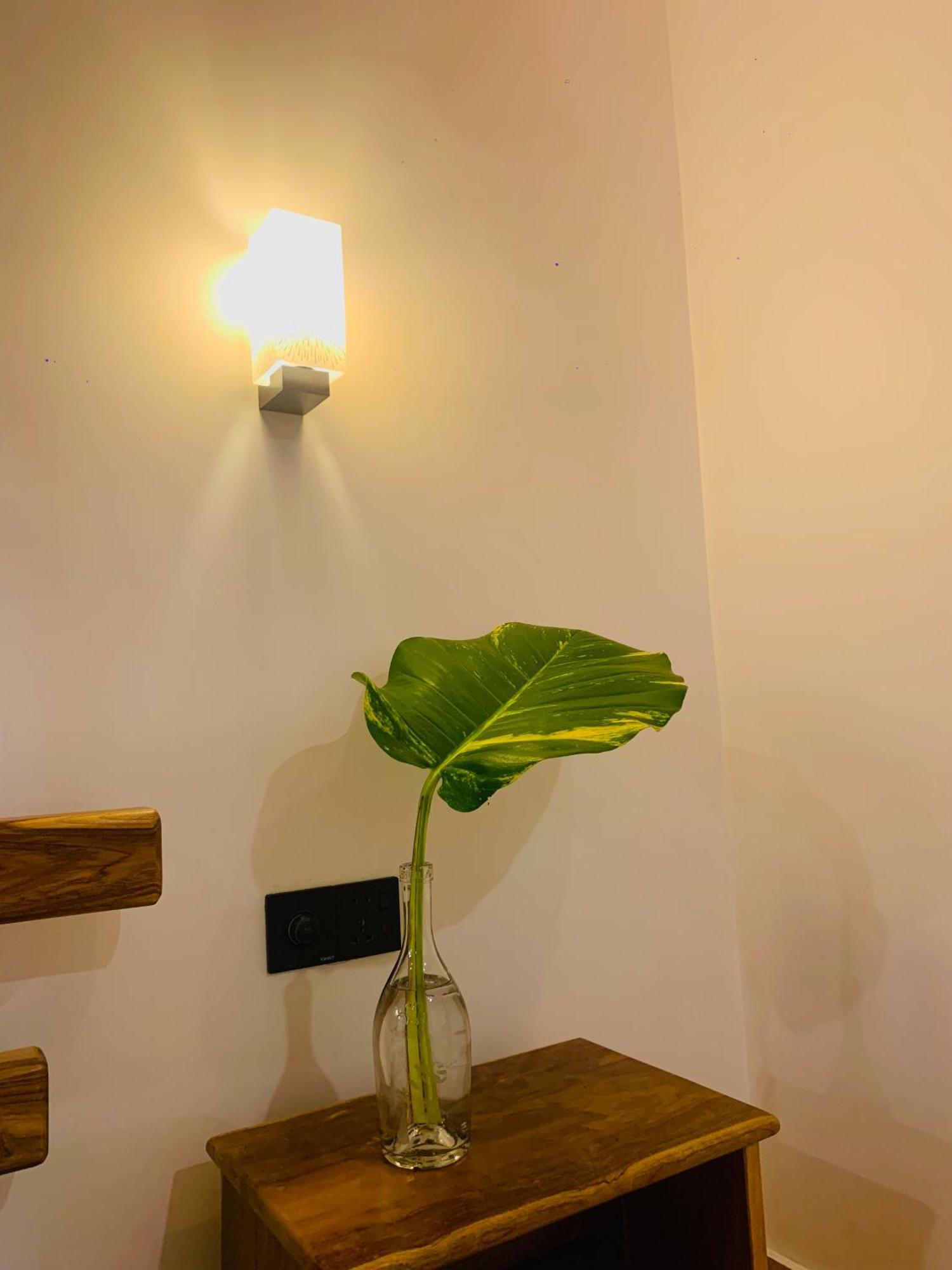 Breeze Bay Villa ดิคเวลลา ภายนอก รูปภาพ